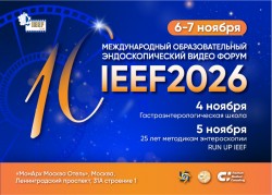 IEEF 2026 IEEF 2026